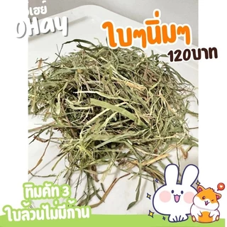 NEW! ทิมใบล้วน 🔥Ohay ส่งฟรี!!🔥 หญ้ากระต่าย หญ้าทิโมธีคัท 3 ทิมใบล้วนร่อนฝุ่นจาก iHay 1กก.