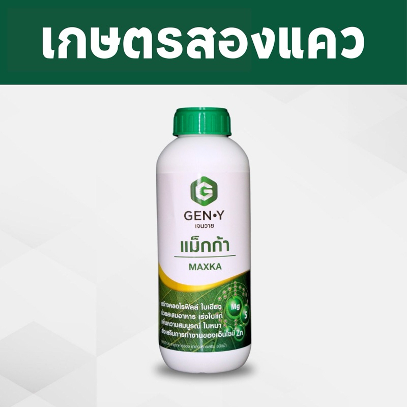แม็กก้า (แมกนีเซียม,กำมะถัน,สังกะสี)เร่งใบเขียว ใบหนา ช่วยสะสมอาหาร เร่งใบแก่(1ลิตร)