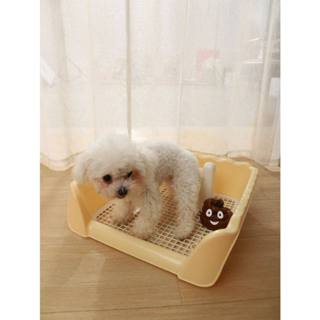 YTL ห้องน้ำหมาขอบสี่เหลี่ยม ห้องน้ำสุนัข ถาดฉี่สุนัข  มีเสาถ…