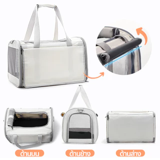 PetStern กระเป๋าแมวใบใหญ่ แมวพับได้ กระเป๋าแมวแบบใส