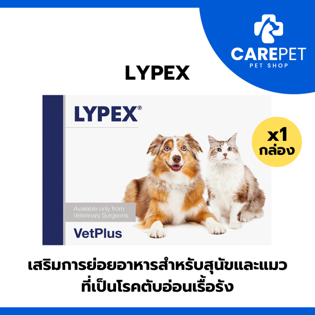 Lypex ไลเป็กซ์ เสริมการย่อยอาหารสำหรับสุนัขและแมวที่เป็นโรคตับอ่อนเรื้อรัง 3 เดือน ขึ้นไป Exp.31.07.