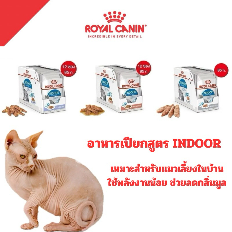 [ 1 โหล INDOOR แมวโต ] Royal Canin อาหารแมว INDOOR ชนิดเปียก จำนวน 1 โหล