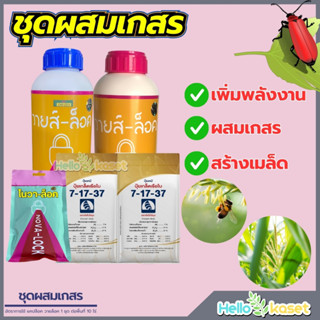 ชุดเร่งผสมเกสรข้าวโพด ช่วงออกดอกหัว ชุดฉีด 10 ไร่ แคปล็อค1+ว…