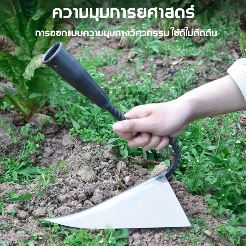 จอบสามเหลี่ยม อุปกรณ์การเกษตร จอบดายหญ้า จอบอเนกประสงค์ thumbnail 4
