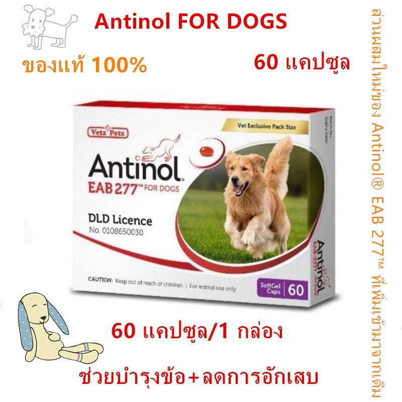 Antinol DOG 60 แคปซูล(หมดอายุ08/2026)แพ็คเกจใหม่ อาหารเสริมบำรุงข้อ ข้ออักเสบ 1 กล่องบรรจุ 60 เม็ด