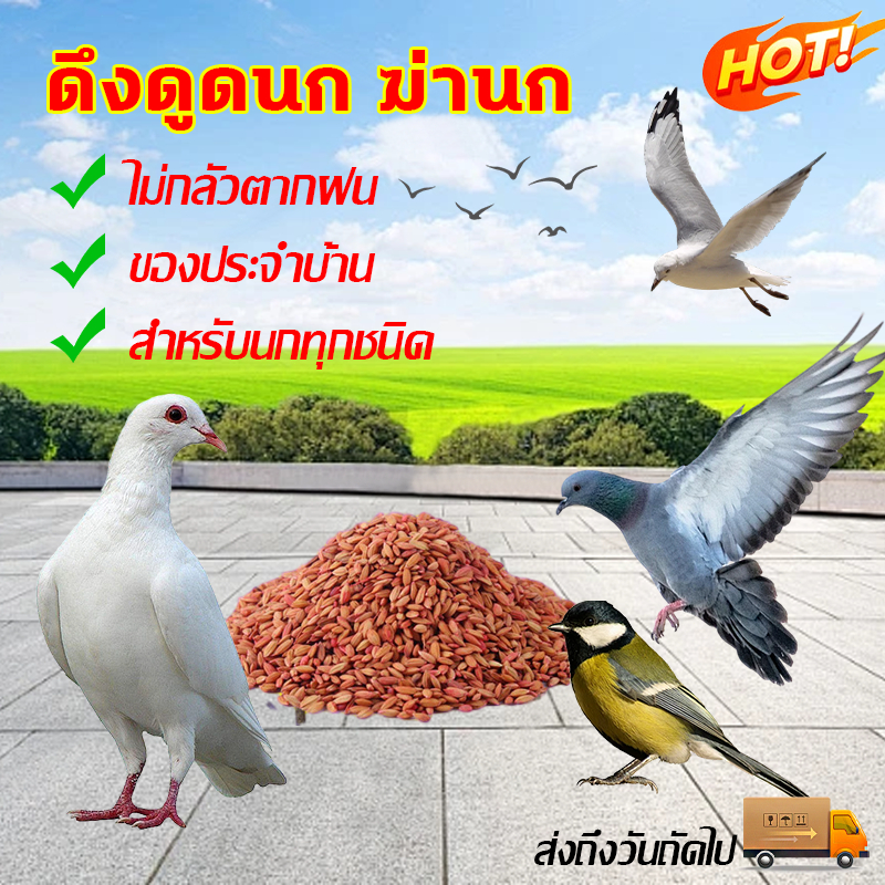🐤🐦สูตรใหม่500g เหยื่อกำจัดนกพิราบ ยากำจัดนกพิราบ ยากำจัดนก ยาเบื่อนก กำจัดนก ยาฆ่านก ตายใน2-3วัน