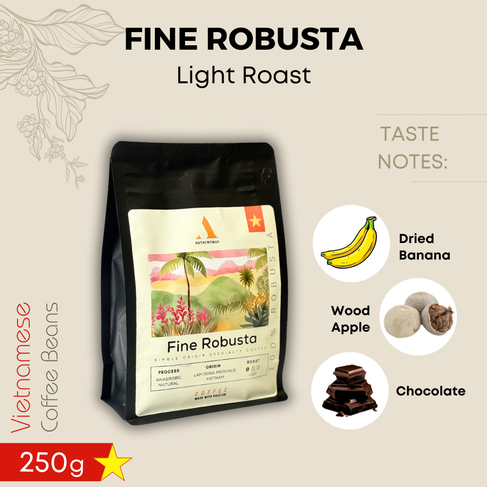 Authentique Specilaity Fine Robusta 100% (Light Roast) (Vietnam Coffee Beans) 250g กาแฟคั่วอ่อน