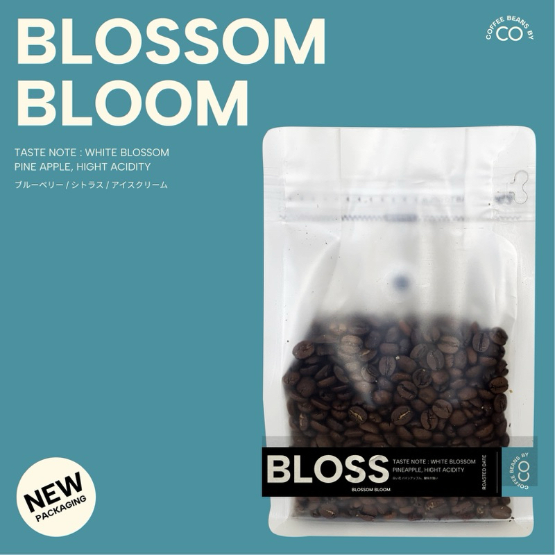 เมล็ดกาแฟ Blossom Bloom Coffee Beans กาแฟบลอสซั่ม บลูม