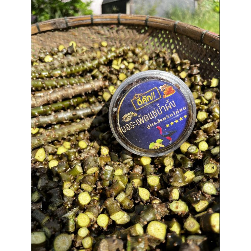 รูปภาพ 2