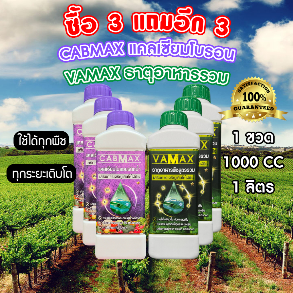 ซื้อ 3 แถม 3 CABMAX แคลเซียมและโบรอนเข้มข้น + VAMAX ธาตุอาหารรวมเข้มข้น (C3+V3)