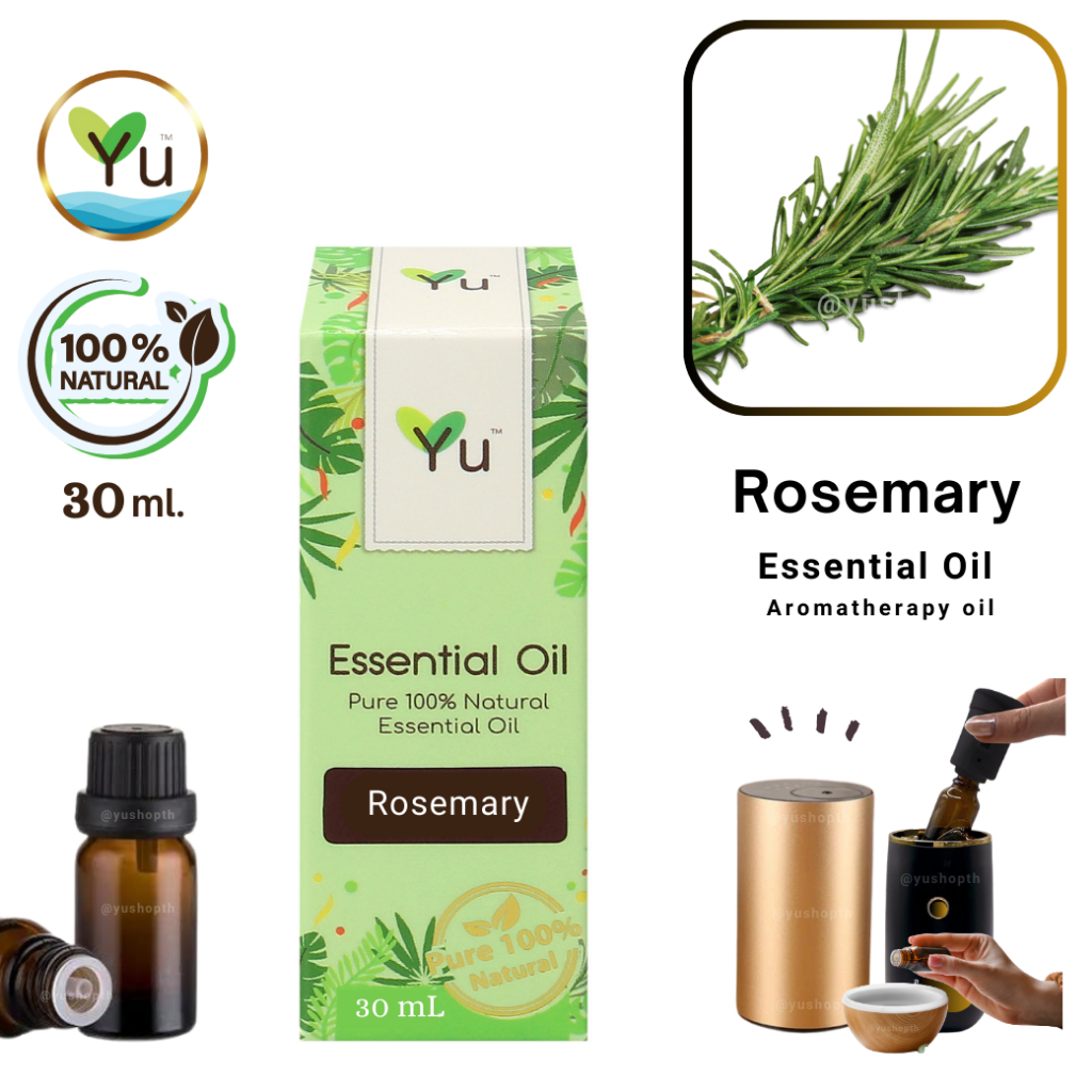 🌟 100% Pure 🌟 Rosemary Essential Oil กลิ่นโรสแมรี่ | น้ำมันหอมระเหย กลิ่นสกัดจากธรรมชาติ 100% | 30 m