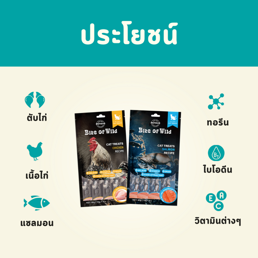 รูปภาพ 6