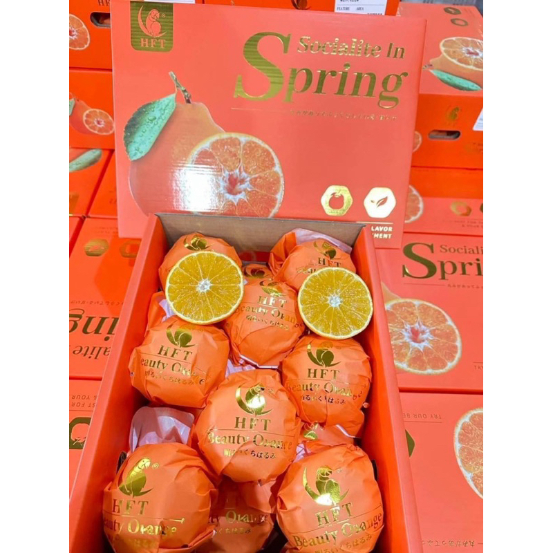 รูปภาพ 6