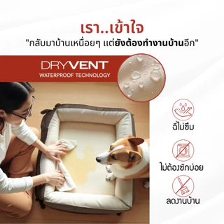 MAPLE'S เบาะสัตว์เลี้ยง2-in-1 รุ่นจัมโบ้ สำหรับสัตว์เลี้ยงขนาดใหญ่ เตียงสุนัข เบาะหมา ที่นอนเเมว