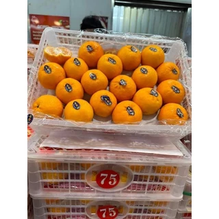 ส้มไต้หวัน 1 ตระกร้า 5 kg.รวม เนื้อแน่น หวาน อร่อย สด ใหม่ ทุกวันครับ ****