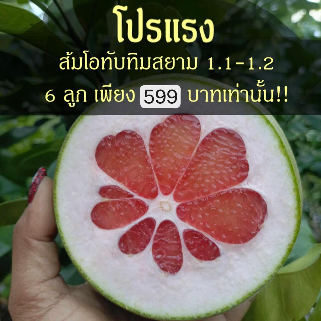 โปรลดแรง!! ส้มโอทับทิมสยาม 6 ลูก ขนาด 1.1-1.2 กิโล