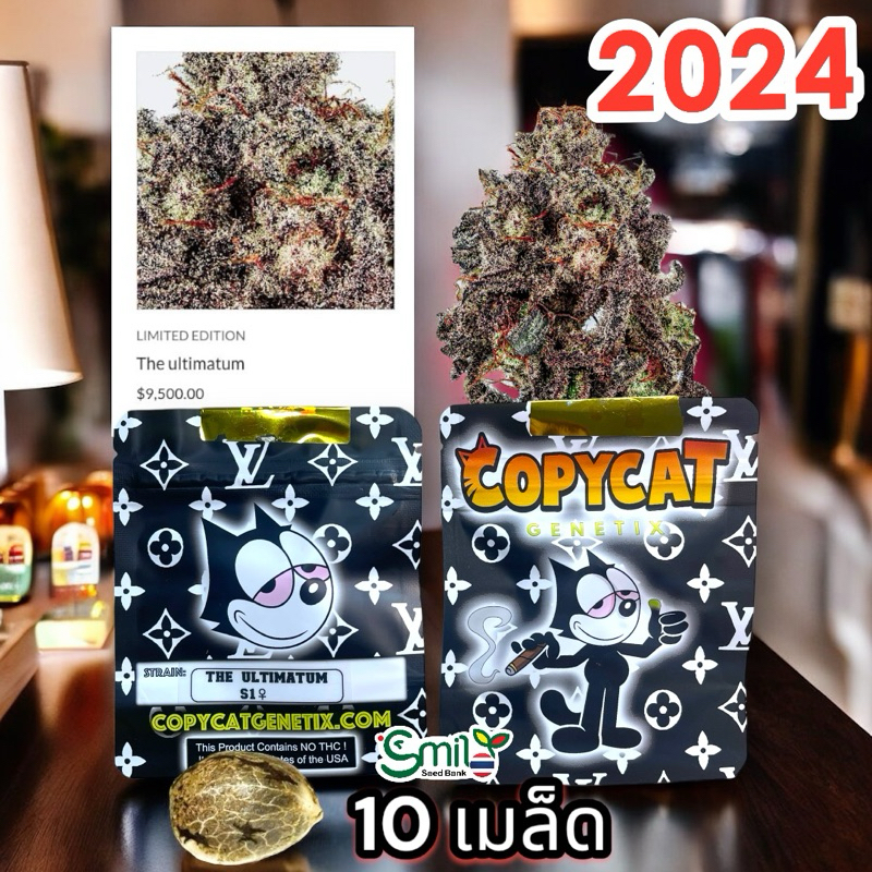 เมล็ดกัญชา The Ultimatum (Fem) Aroma Relax New 2024* - Copycat Genetix