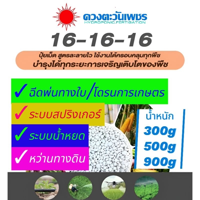 🫧💦 ปุ๋ยเกล็ด/ปุ๋ยทางใบ 16-16-16 เร่งเจริญเติบโตทุกๆส่วน สม่ำเสมอ 🪵ต้น 🌿ใบ ✳️ราก 🌸ดอก 🥭ผล-หัว ดวงตะวั
