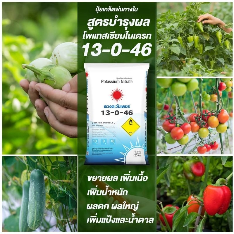 🫧💦 ปุ๋ยเกล็ด/ปุ๋ยทางใบ 13-0-46 🌸กระตุ้นการออกดอก ช่วยเปิดตาดอก 🥭ขยายผล-หัว เพิ่มแป้ง-น้ำตาล บำรุง🪵ต้น- 🌿ใบ ดวงตะวันเพชร - รูปที่ 4