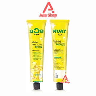 น้ำมันมวย ครีมบรรเทาปวดเมื่อย ตรามวย ขนาด 100 กรัม [12 หลอด] DD 1301 MUAY ยาครีม บรรเทาปวด สมุนไพรขายทั่วไป