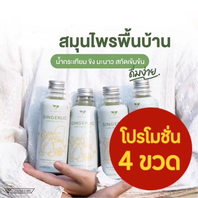 GINGERLIC น้ำกระเทียมขิงสกัด (โปร 4 ขวด) น้ำสมุนไพรสกัดเย็น กระเทียม ขิง มะนาว น้ำแอปเปิ้ลไซเดอร์