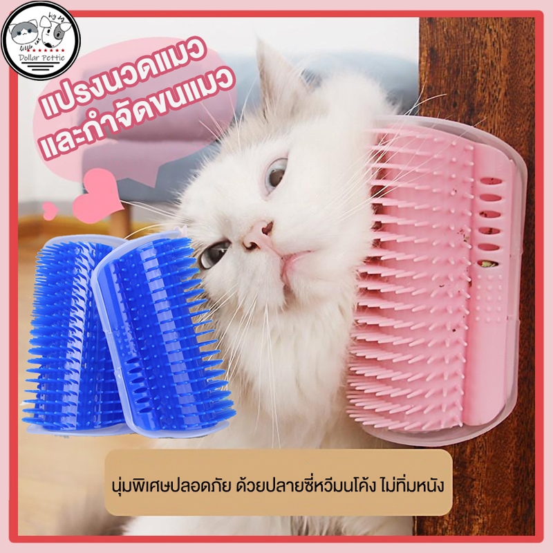 แปรงนวดแมว ที่แปรงขนแมว เครื่องนวดแมว หวีแมว ออกแบบแยกชิ้นเพื่อทำความสะอาดง่าย ติดผนัง Petbrush