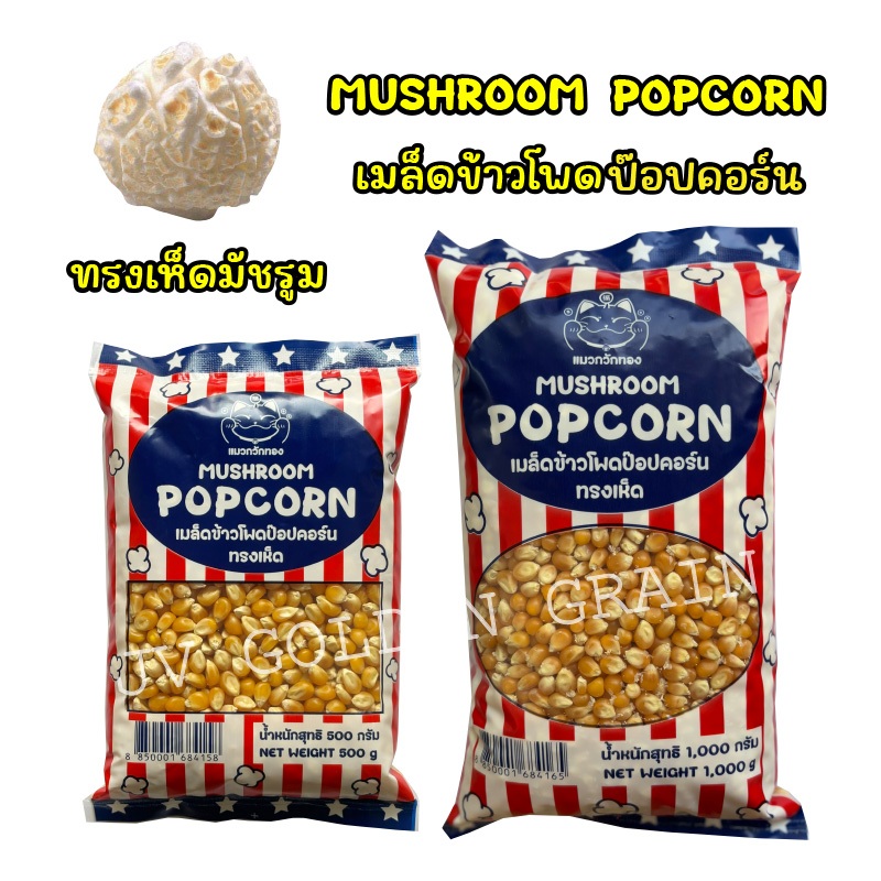 ป๊อปคอร์นพันธุ์เห็ด Mushroom Popcorn ตรา แมวกวักทอง ขนาด 500g / 1kg ทำง่าย แตกดี มือใหม่ก็ทำได้ คัดทุกเม็ด