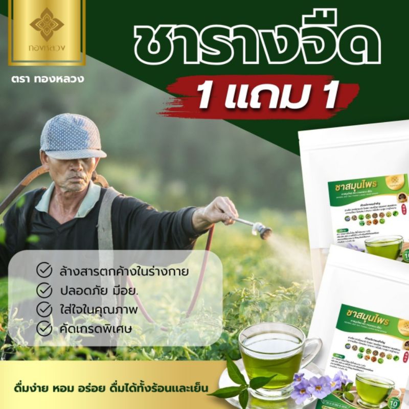 ⭐1 เเถม 1 ⭐ล้างสาร ด้วยชารางจืด ตราทองหลวง