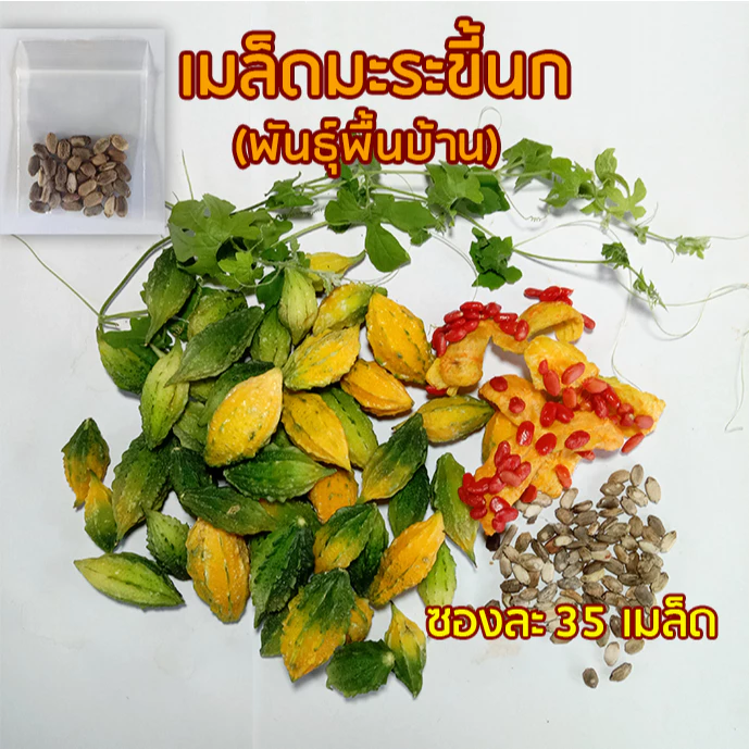 เมล็ดมะระขี้นก (พันธุ์พื้นบ้าน) ซองละ 35 เมล็ด เมล็ดพันธุ์มะระขี้นก ## มะระขี้นก ผักสวนครัว มะระ มะไห่ มะห่อย ผักไห่ ผัก