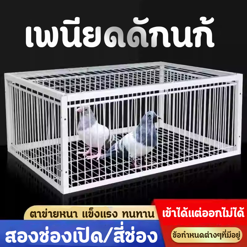 *เข้าได้แต่ออกไม่ได้*เพนียดดักนก กรงกับดักนกพิราบ กรงดักนก กรงนกทางเดียว กรกดักนกเขา เพนียดดักสัตว์ ขนาดใหญ่เพนียดดักนก