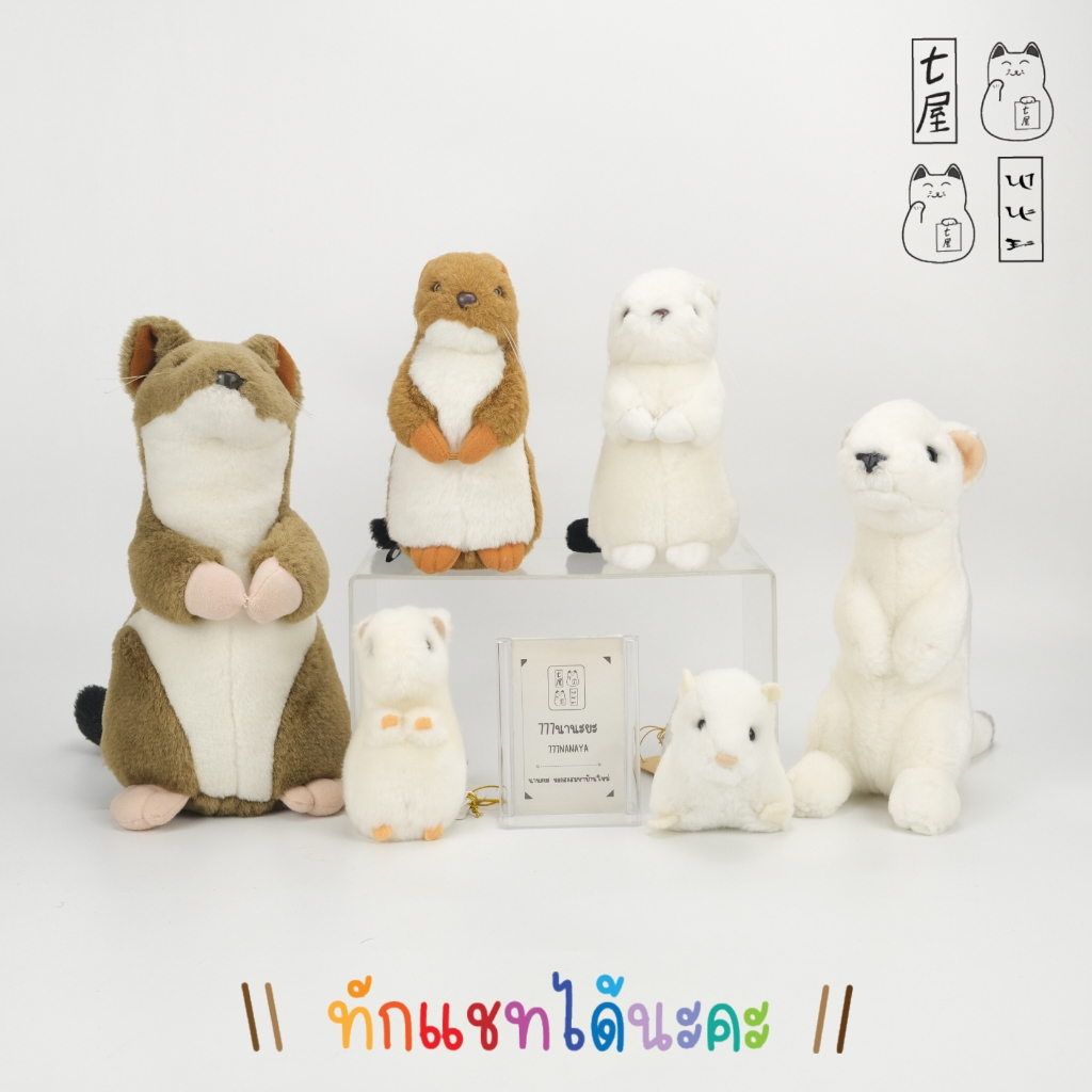 ตุ๊กตา เออร์มิน สโตธ เพียงพอนหางสั้น  ☆ Ermine , Stoat , Short Tailed Weasel Plush