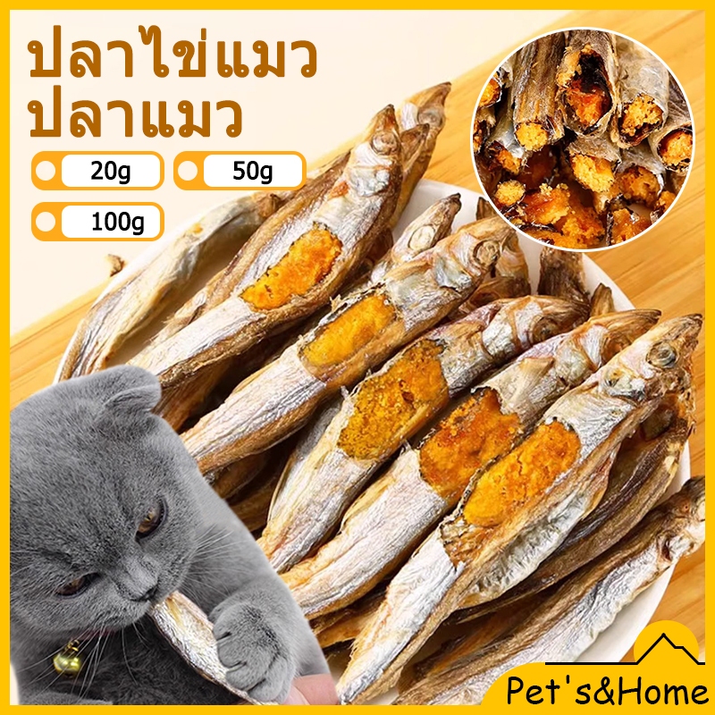 ปลาแมว ขนมแมว ปลาไข่แมว ปลาไข่ฟรีซดราย ปลาไข่เต็มตัว พร้อมส่ง โปรตีนสูง ไม่ใช้วัตถุกันเสีย ไม่เค็ม ปลอดภัยต่อไต