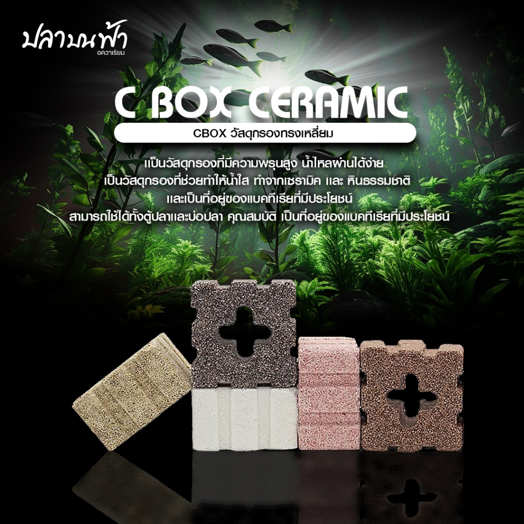 C-box เซรามิคหลี่ยมแปดร่อง 5 สี รุ่นอัพเกรด วัสดุกรองตู้ปลาคุณภาพสูงใช้ได้ยาวนาน ขนาด 4.5*4.5*3 cm.