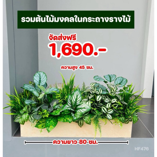 กระถางรางต้นไม้ปลอม รวมต้นไม้มงคลตกแต่งบ้าน ขนาดกว้าง 15 ซม. ยาว 80 ซม. ประกอบสำเร็จพร้อมตั้งโชว์