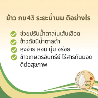 ข้าวตราอุดมรักษ์ ข้าวกล้องกข 43 ระยะน้ำนม น้ำตาลต่ำ (1กก) ผู้ป่วยเบาหวานทานได้ ไร้สารกันมอด