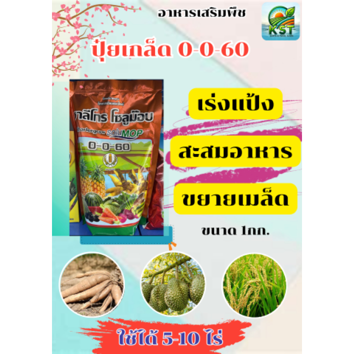 ปุ๋ยเกร็ด 0-0-60 ชาลีเฟรท ชนิดเกร็ดผง ละลายน้ำได้ดี ไม่มีตะกอน บรรจุ 1 กิโลกรัม เร่งหวาน เร่งสี เร่ง