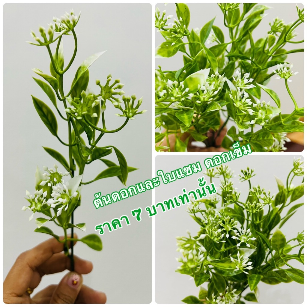 ต้นไม้ใบแซม ใบแซม ดอกแซม ดอกไม้ปลอม ใลไม้ปลอม ( ใบแซมดอกเข็มสีขาว 7 บาทเท่านั้นจร้า สวยคุ้ม ใช้สำหรับแซม ตกแต่ง งานยาง