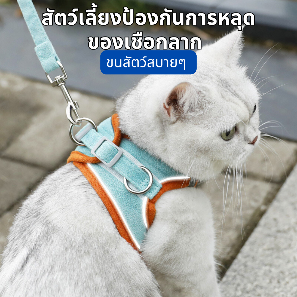 เชือกจูงแมววัสดุเรืองแสงจูงแมวจูงแมวจูงแมวจูงแมวจูงแมวจูงแมวจูงแมวจูงแมว