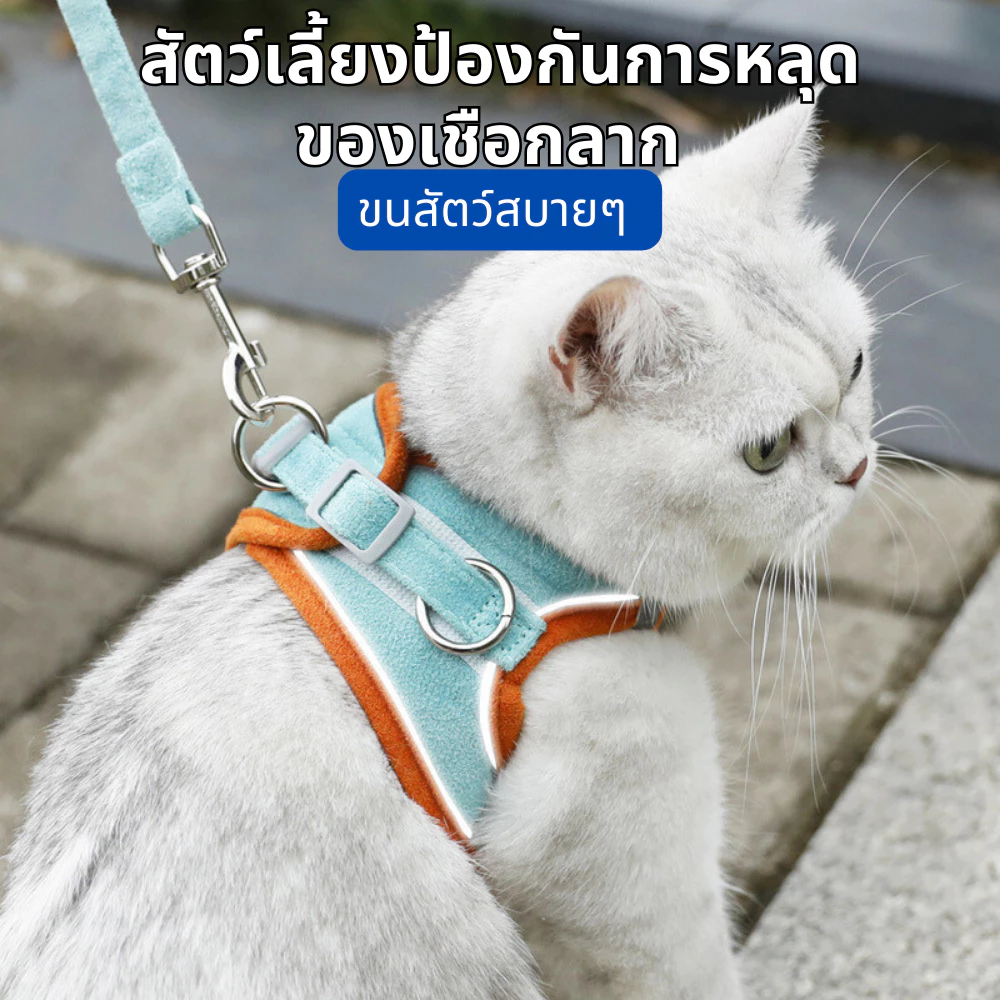เชือกจูงแมววัสดุเรืองแสง - รูปที่ 1