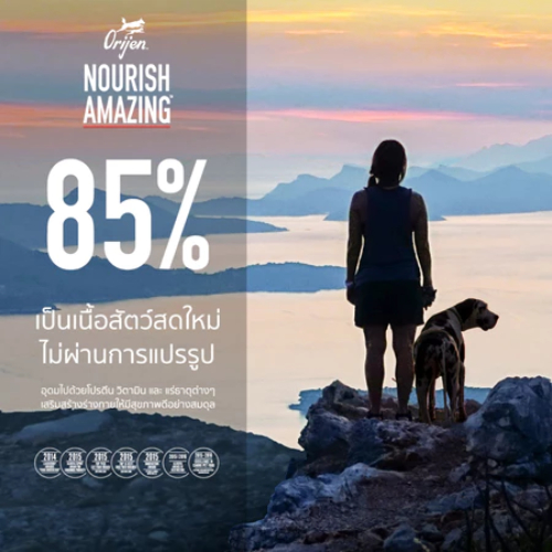 Orijen-SixFish สูตรเนื้อปลา 6 ชนิด อาหารสุนัข ขนาด 11.40 กก.{อาหารสุนัขเม็ด} - รูปที่ 3