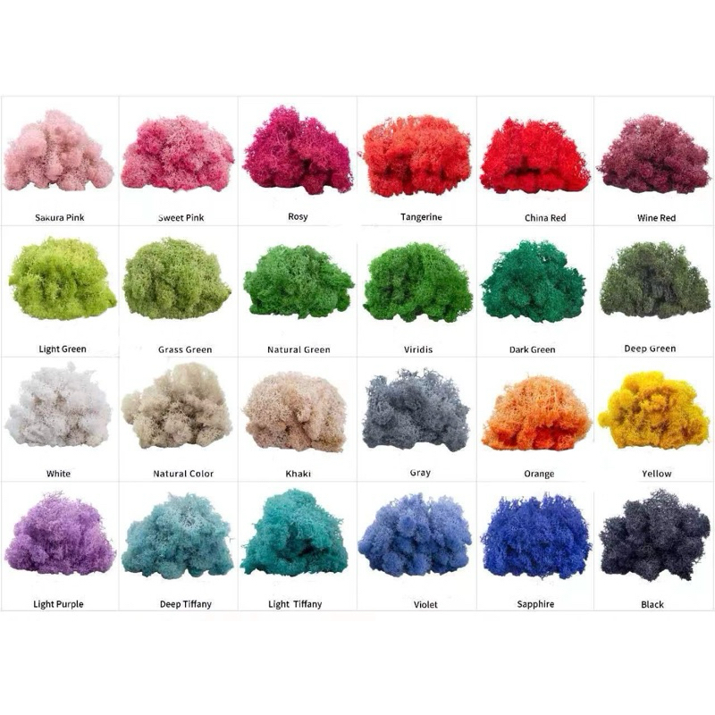 ดอกไม้แห้ง มอส มอสแห้ง หญ้ามอส ย้อมสี ราคา 35 บาท 10 กรัม สินค้าพร้อมส่งจาก กทมเลยจ้า