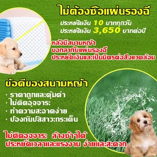 ถาดฉี่สุนัข หญ้าเทียม ห้องน้ำสุนัขขนาดใหญ่ ห้องน้ำหมา Dog Pee Padพร้อมหญ้าเทียม สำหรับฝึกให้สุนัขขับถ่าย แผ่นรองฉี่