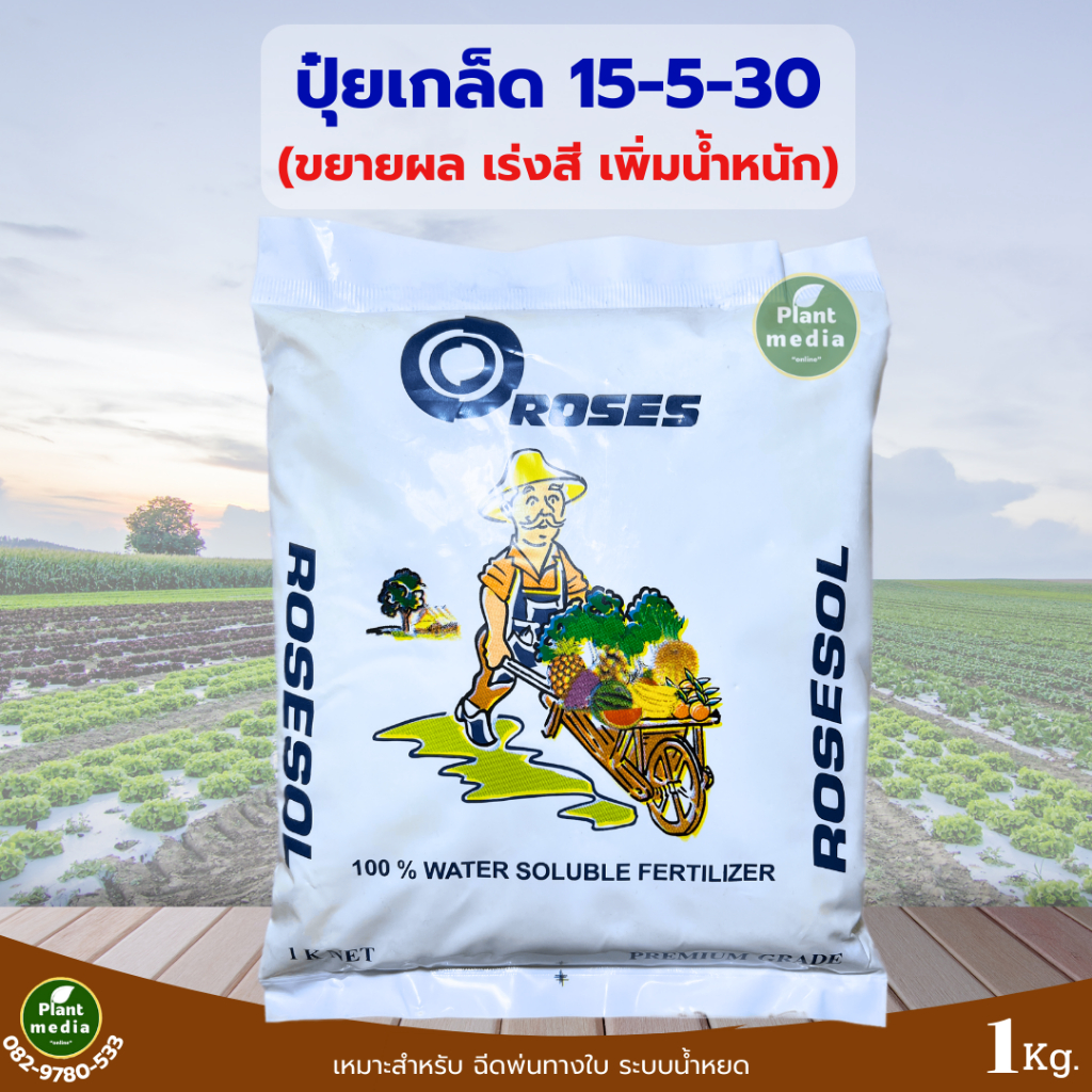 ปุ๋ย15-5-30 ปุ๋ยเกล็ด โรส ROSES (ฝรั่งเศส) ขยายผล เพิ่มสีสันของดอกและใบ บรรจุ 1 กิโลกรัม