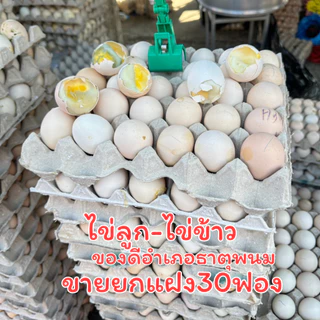 ราคายกแผง30ลูกสุกแล้ว ไข่ลูก ไข่ไก่ลูกอ่อน ไข่ร้างรัง ไข่ฮ้างฮัง คล้ายๆไข่ข้าว ไข่เป็ดเวียดนาม ไข่ตัวนึ่งสุก