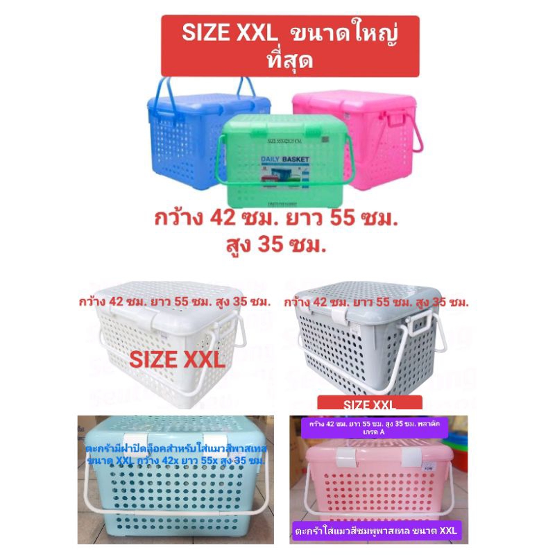 ตะกร้าใส่แมวใหญ่ที่สุด SIZE XXL กว้าง 42ซม. ยาว 55ซม. สูง 35 ซม. (วัดภายนอกรวมฝาและด้ามจับ)