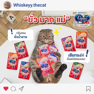 [กล่อง x12 ซื้อ 4 ฟรีพรมลับเล็บแมว] Ginno Cat Gourmet กินโนะ อาหารเปียกแมว 60g x12 ไม่เติมเกลือ