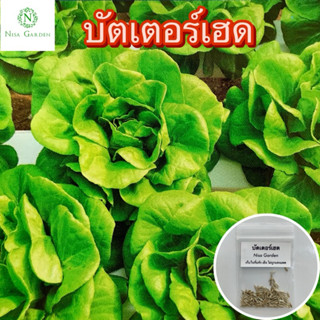 เมล็ดผักสลัด​ บัตเตอร์​เฮด เขียว กรอบ 100-200 เมล็ด 🔥(ซื้อ 5…