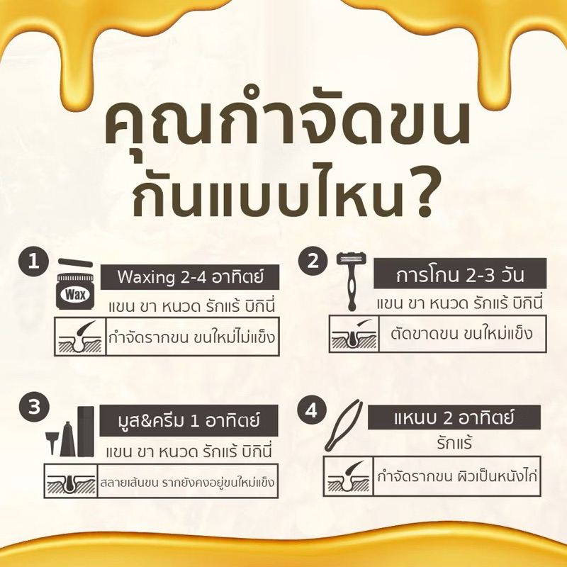 แว็กซ์กำจัดขน Tanhom Honey Wax Remover [เซ็ท 1 กป. ]ถนอม แว๊กซ์น้ำผึ้ง พร้อมเจลบำรุง รูปที่ 6