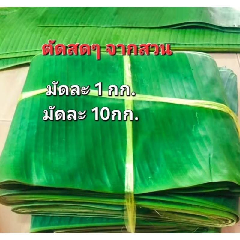 ใบตองสด ใบตองกล้วยน้ำว้า ใบกล้วย ใบตองทำขนม ใบตองเอนกประสงค์ - รูปที่ 2