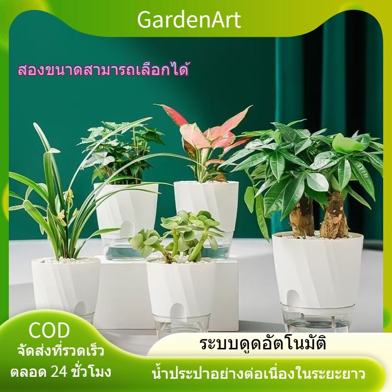 ดอกไม้ กระถาง กระถางยาว กระถางบอนไซ กระถางโรมัน กระถางใหญ่ กระถาง 3 นิ้ว กระถางใส กระถางสีขาว